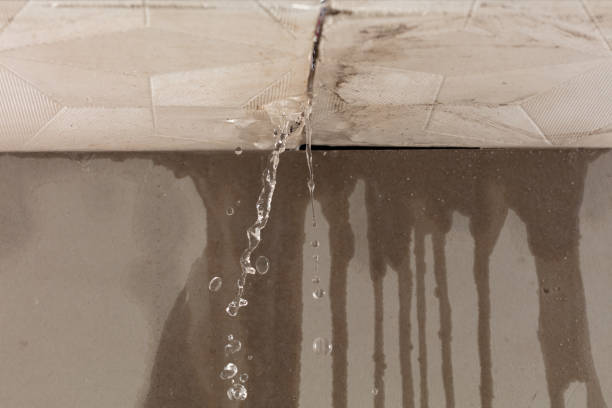 Professional Structural Drying technician working in New Washington, IN